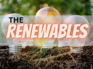 RENEWABLES2 300x225 - The Alberta Renewables!